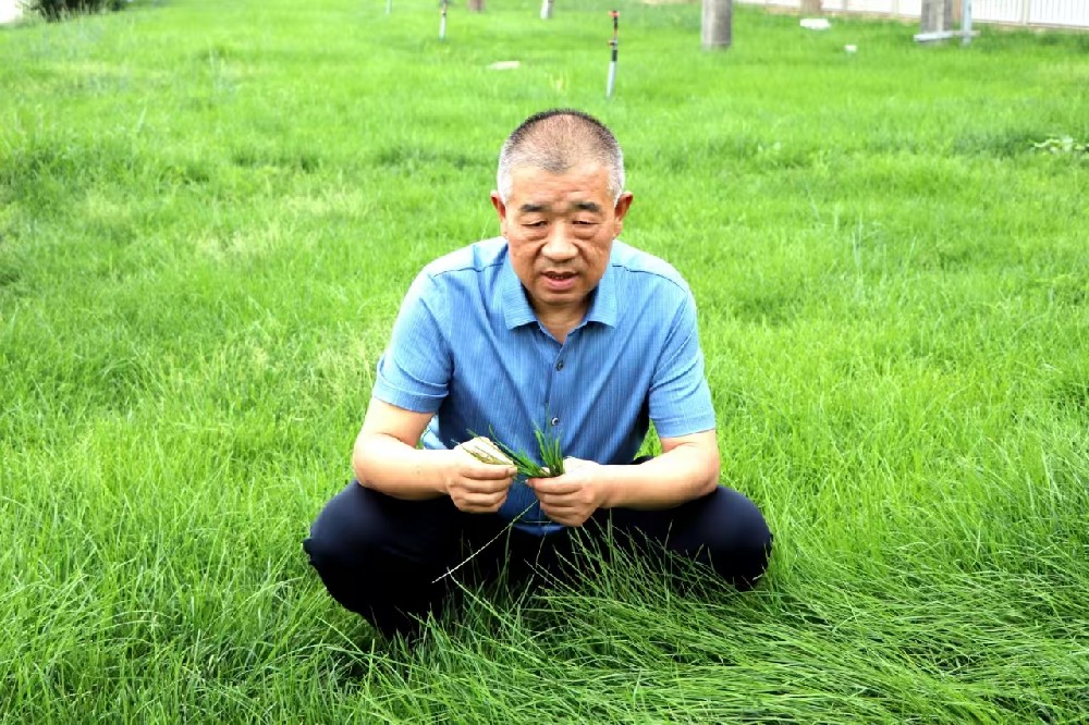 馬志祥“利益大家享，責任我來擔”