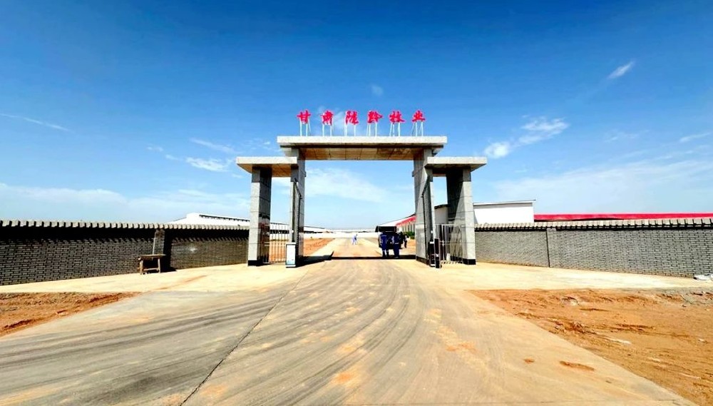 甘肅隴黔牧業：新建大門及道路工程順利竣工并完成驗收